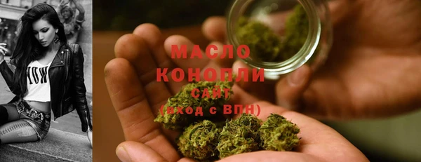 хмурый Магас