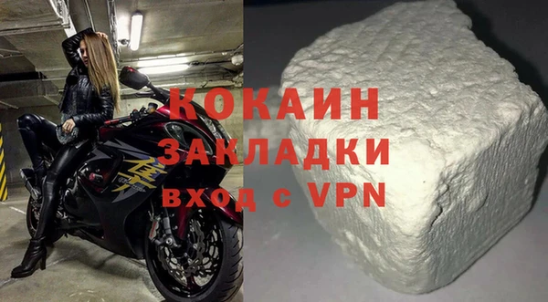 хмурый Магас