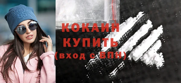 хмурый Магас
