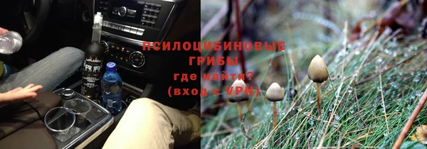 молекула духа Магадан