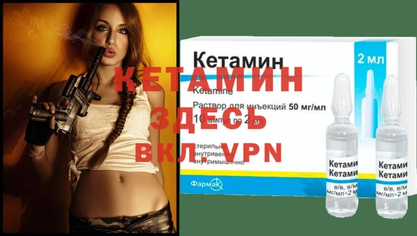 хмурый Магас