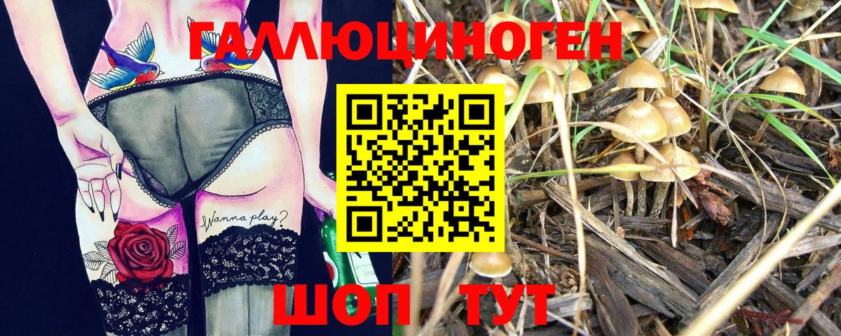 Галлюциногенные грибы Psilocybe  Псилоцибиновые грибы мухоморы  Еманжелинск 