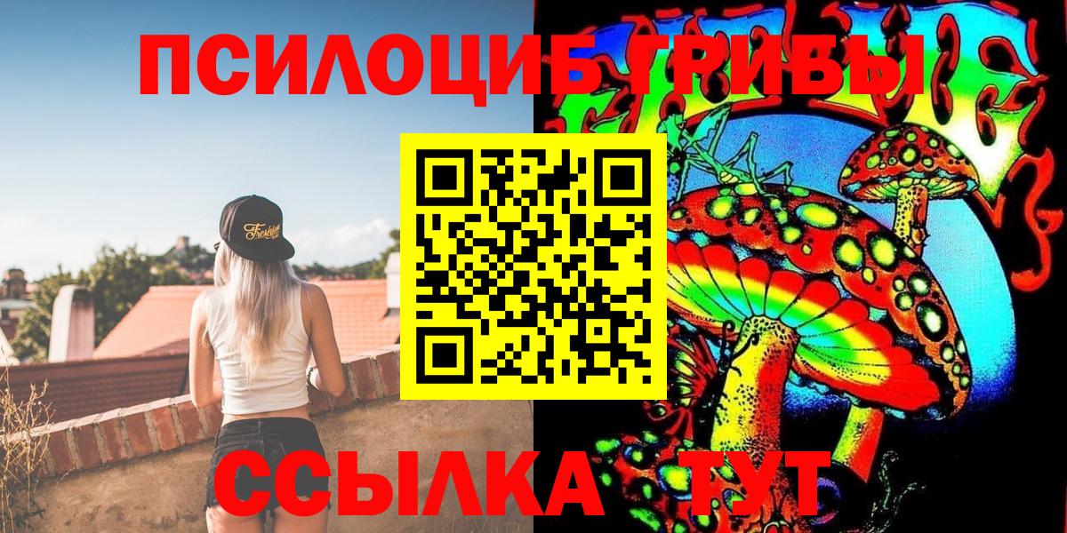Галлюциногенные грибы Psilocybe Еманжелинск